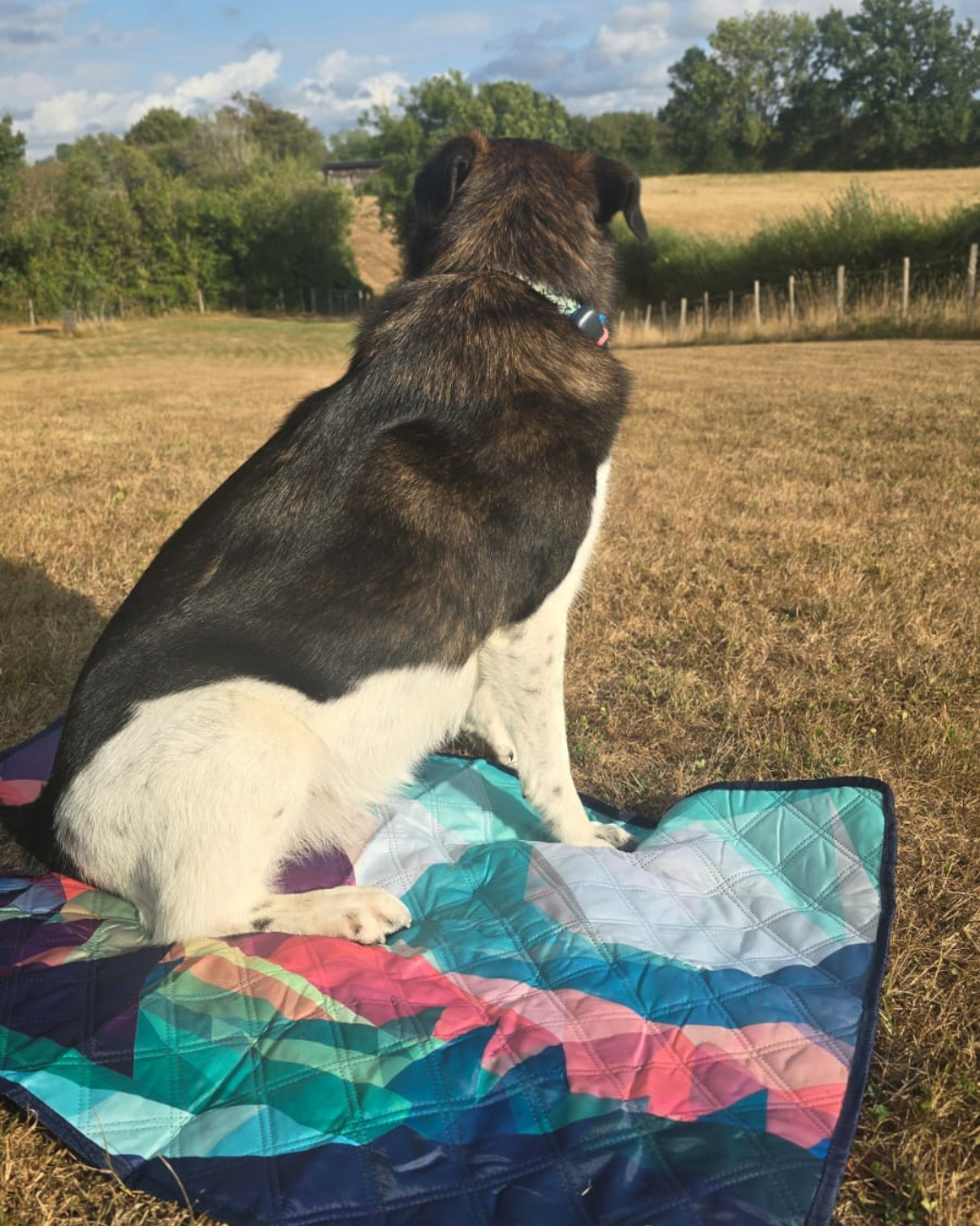 Dog Settle Mat - Mountain Print