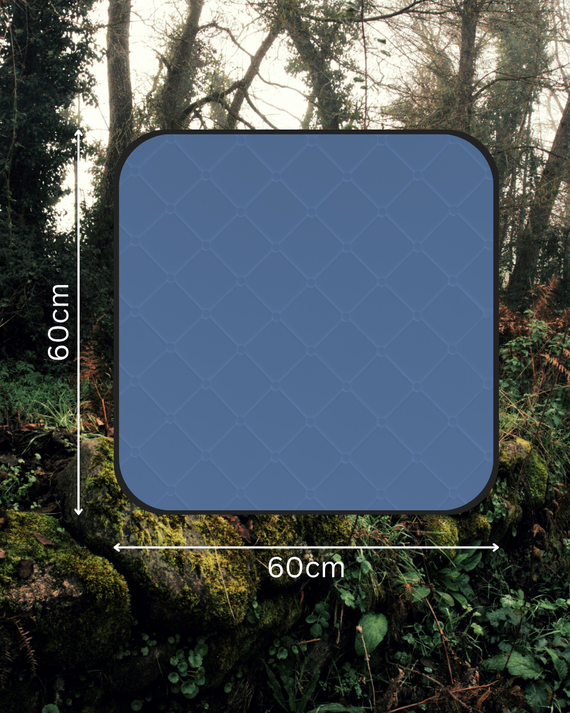 BumDry Waterproof Sit Mat - Blue