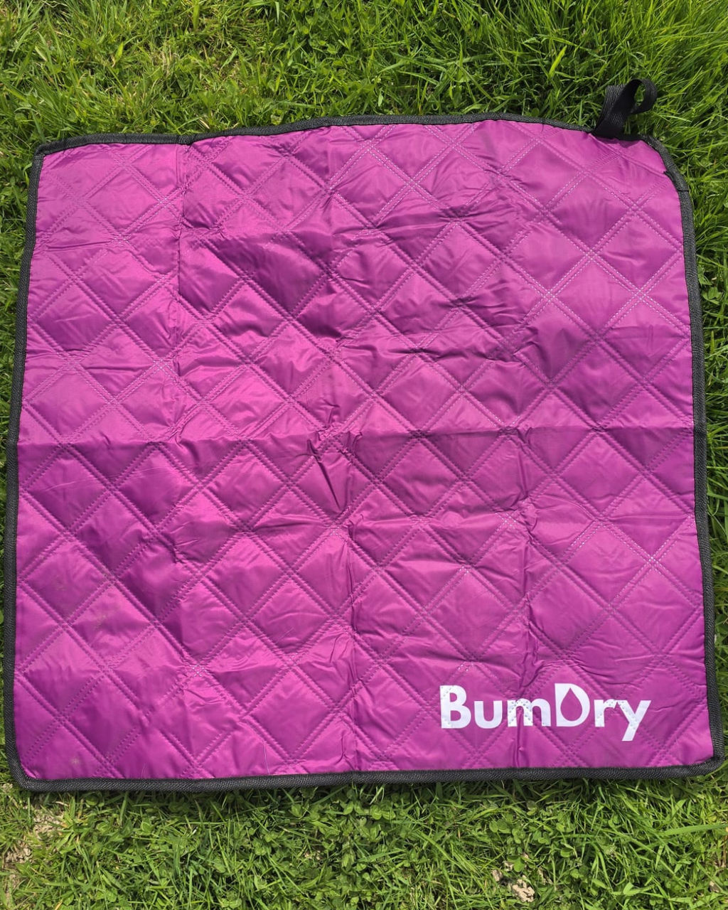 BumDry Waterproof Sit Mat - Pink
