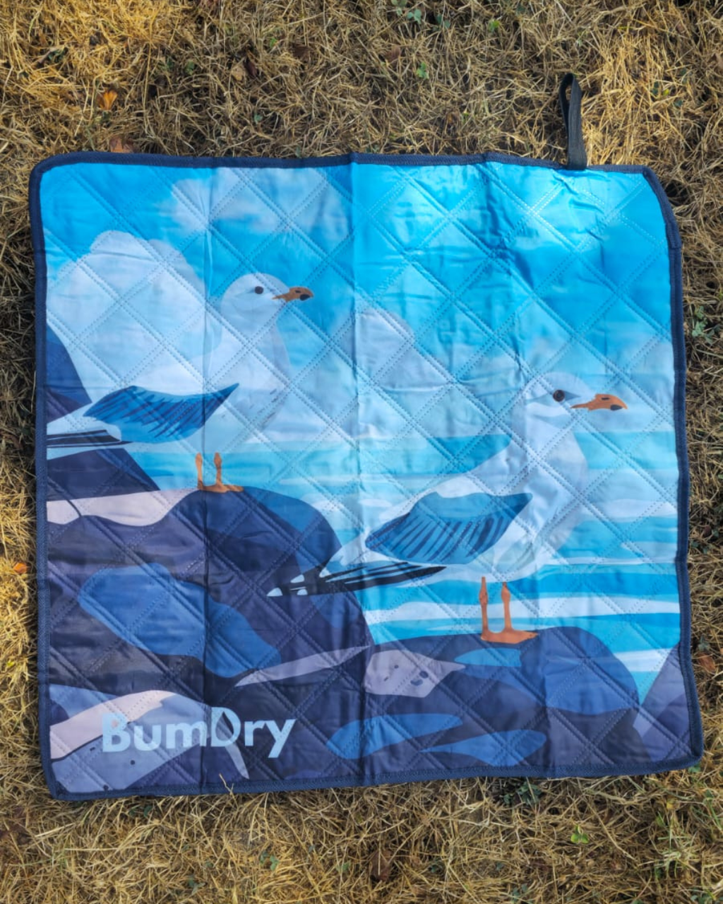 BumDry Outdoor Sit Mat - Seagulls